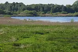 Südostrand des Sellstedter Sees