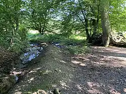 Burgsiefen im unteren Bereich des NSG