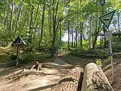 Das Trockental endet auf der Westseite des NSG am Weyerbach