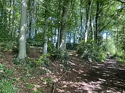 Wanderweg auf der östl. Seite des NSG