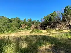 Magerwiese im zentralen Steinbruchkessel