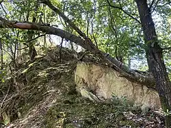 Bewaldeter Felshang an der Südseite des zentralen Kessels