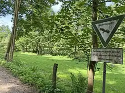 NSG Sumpfgebiet im Ölbachtal