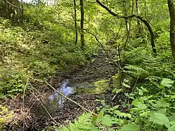 Oberlauf der Fastenbecke