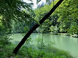 Waldteich im Unterlauf nördl. Dahlhausen