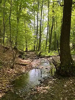 Wolfsbecke bei Dahlhausen – südl. Endpunkt des NSG