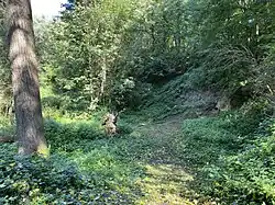 Tongrube mit kleinem, freigelegten Teil der ehem. Lösswand