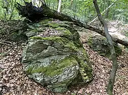 Kalksteinfelsen (Dolinengebiet) (Südteil NSG)