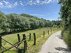 Düssel begleitet von Auwald - Buscherdelle (nördl. Teilfläche des NSG)