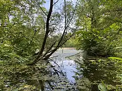 Stauteich an der Schöllermühle