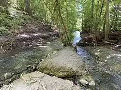 nördl. Punkt des NSG am Dorfermühlenweg - Wiesenbach mündet in die Düssel