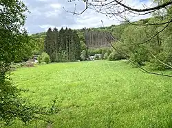 NSG Morsbach im Hintergrund: Breitenbruch links: Morsbachtalstraße