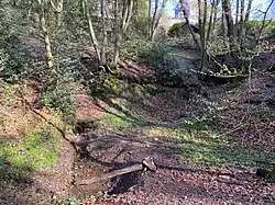 Quelle Westener Siepen