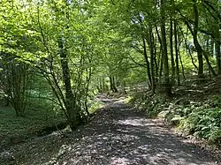 Wanderweg A2 im Westerbachtal