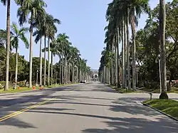NTU Royal Palm Boulevard (Blick Richtung Bibliothek)