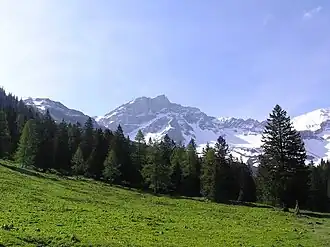 Naafkopf, von der Alp Gritsch (Liechtenstein) gesehen