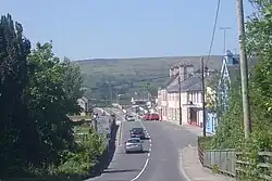 Frosses im Jahr 2009