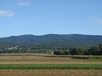 Der Große Hirschenstein von Süden