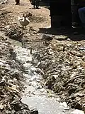 Vermüllter Abwassergraben