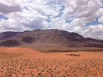 Der Losberg (Südwestflanke) von Wolwedans aus aufgenommen.