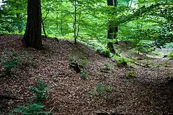 Nammer Lager (Wallreste)