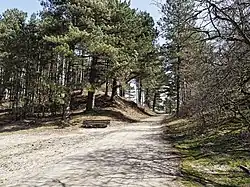 Dünen im Nationalpark Kennemerland