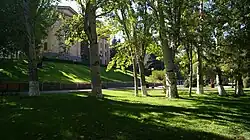 Baumbepflanzung (2018)