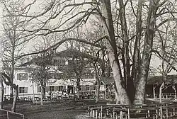 Naturdenkmal Alte Linde in der Ortsmitte