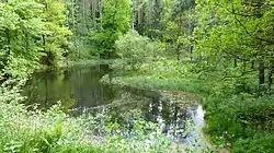 Naturdenkmal Böses Loch in der Dresdner Heide, Dresden
