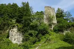 Burgruine Grasburg: Vorderburg: Gesamtanlage mit Wohnturm von Südosten