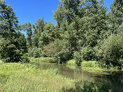 Südumfluter im Naturschutzgebiet Innerer Oberspreewald