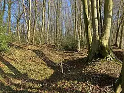 Naturschutzgebiet Oberkotten