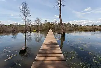 Erste Hälfte des Erschließungsweges (überschwemmte Umgebung)