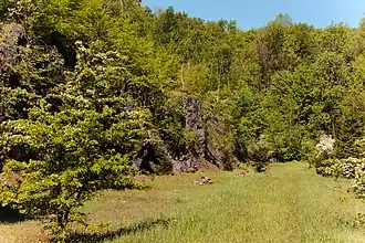 Fraunhofer Steinbruch