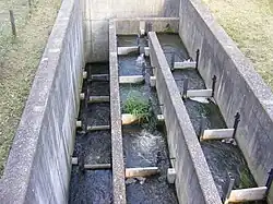Fischtreppe aus Beton mit einer Vielzahl an Stufen