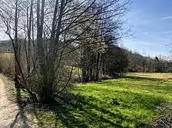 Weyerbachtal bei Nelsbach