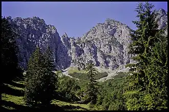 Die Hohen Köpfe von der Sattelalpe aus gesehen (Foto: Helmut Tiefenthaler, Vorarlberger Landesbibliothek)