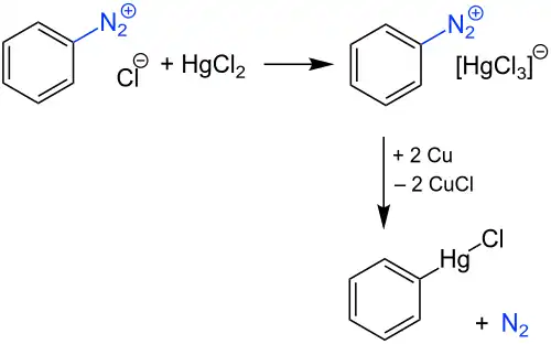 Nesmejanov-Reaktion – Reaktionsmechanismus