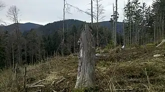 Blick vom Gipfel der Nesselscheibe Richtung Kogelkopf und Luckenkopf