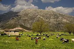 Idyllisches Arkadia?