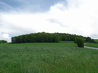 Ansicht von Südsüdwest, am Südhang verläuft die Röntorfer Straße