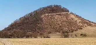 Westansicht Neuerburger Kopf