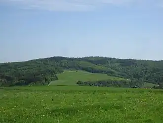 Der Neunzehntberg (linker Gipfel), vorne das Fischbachtal