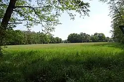 Wiese südlich der Kreisstraße (2021)