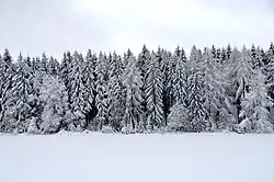 Neuschnee auf der Schwäbischen Alb