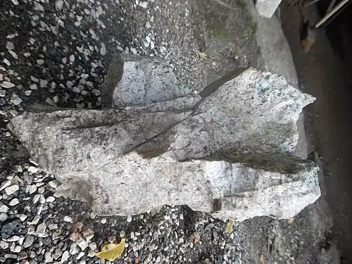 Zerscherter leukokratischer Gang