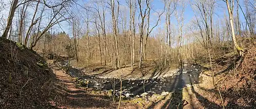 Das Tal der Nister nahe Höhn