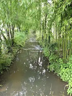 Die Nizonne an der Grenze zu Les Graulges (rechterhand)