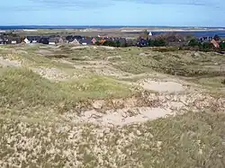 Die Odde (im Hintergrund rechts) von der Norddorfer Aussichtsdüne aus