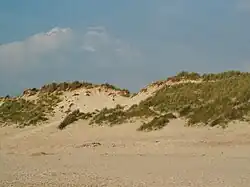 Dünen in Schoorl aan Zee